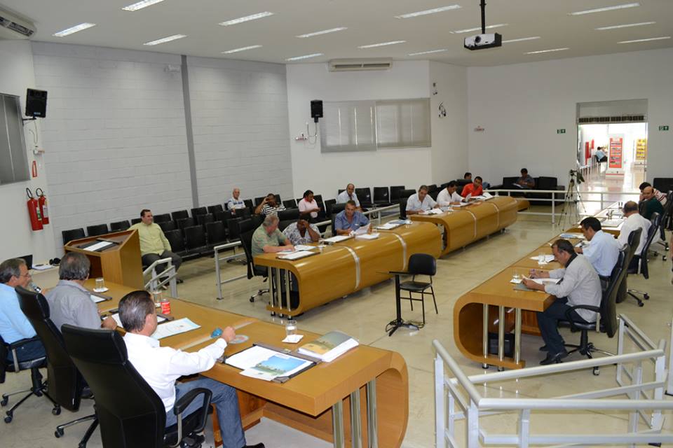 plenario_12.11.13